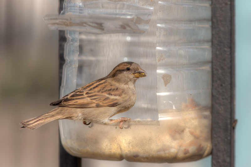 Essential Pre-party Cleaning Checklist for Any Occasion